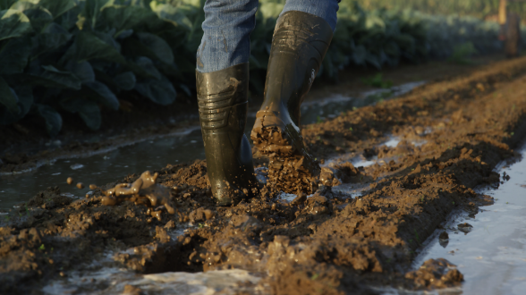 Las mejores botas para el campo de poliuretano: comparadas con las tradicionales de Caucho